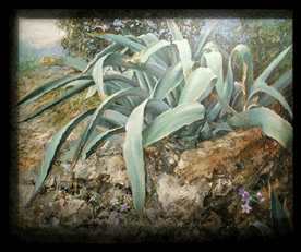 Piccola agave 1999 - Particolare